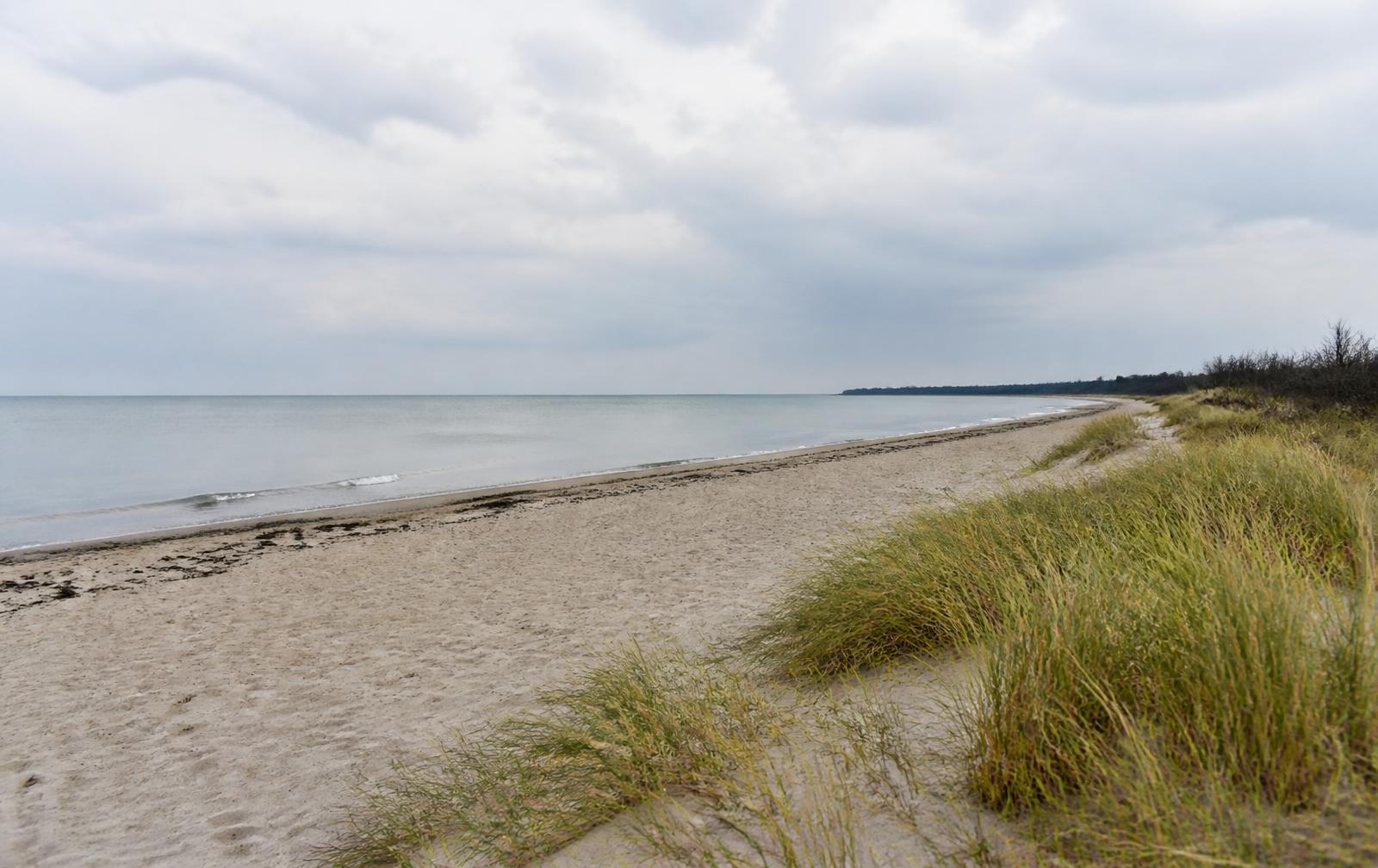 Weiter Ostseestrand mit Dünengras in Mecklenburg-Vorpommern